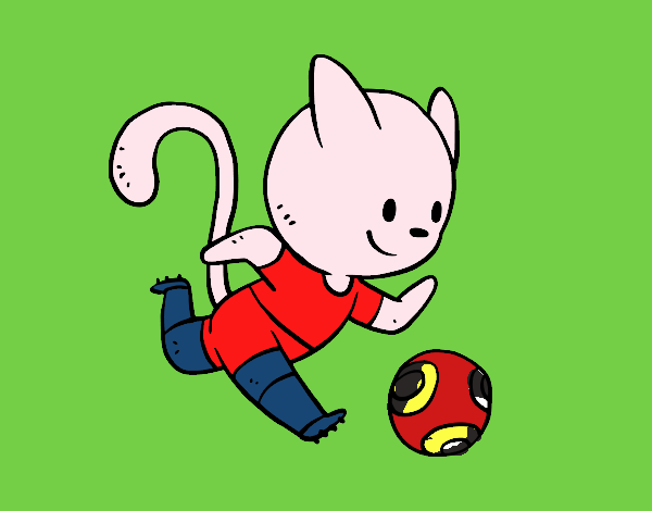 Gato jugando a fútbol