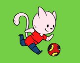 Gato jugando a fútbol