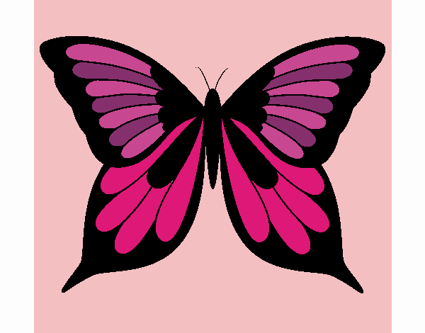 Mariposa 8