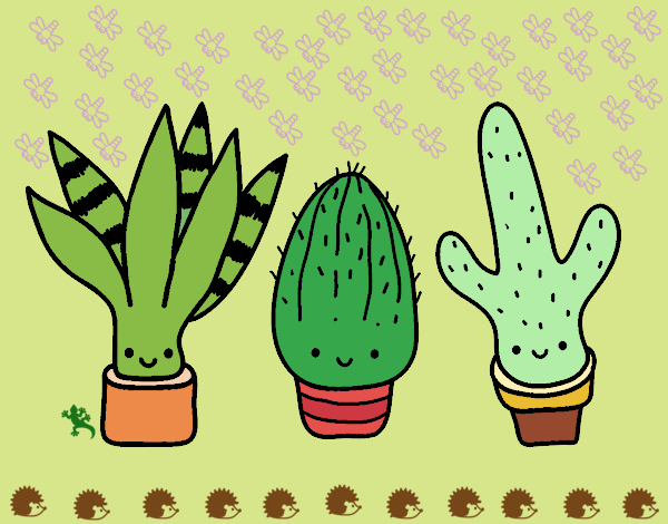 LOS CACTUS *-*