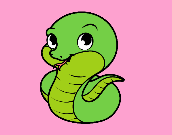 Serpiente bebé