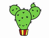 Cactus nopal