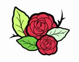 Dos rosas