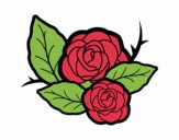 Dos rosas