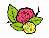 Dos rosas