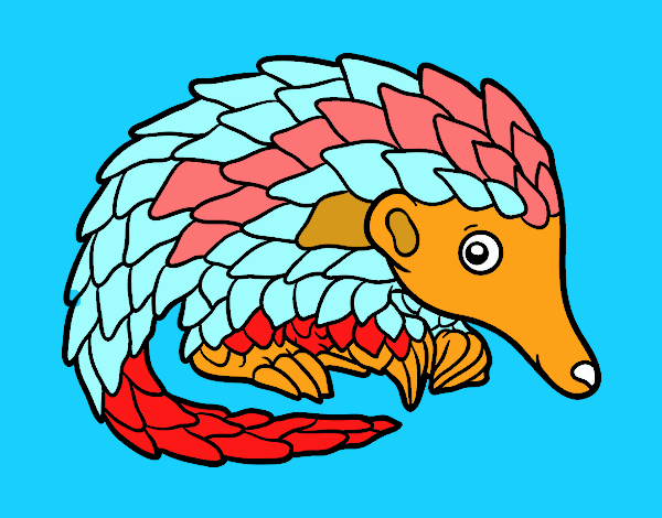 Pangolin