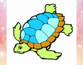 Tortuga