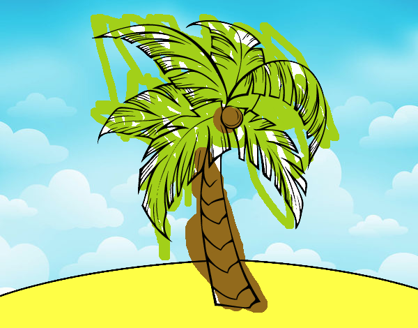 Una palmera