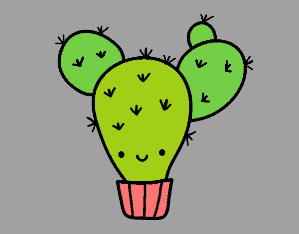 Cactus nopal