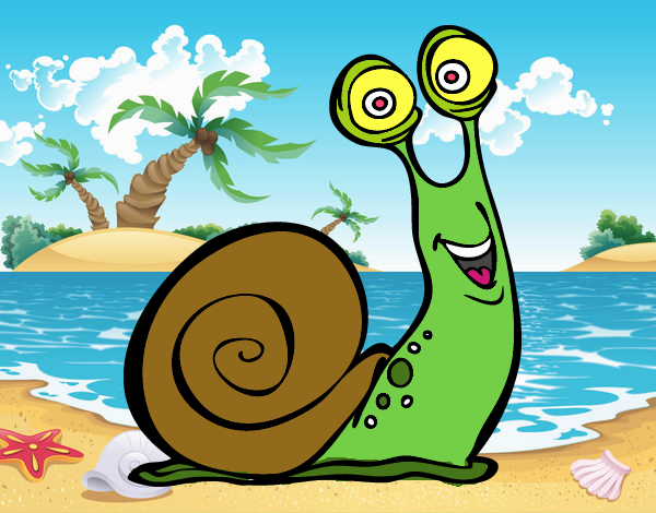 Caracol feliz