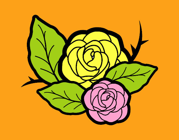 Dos rosas