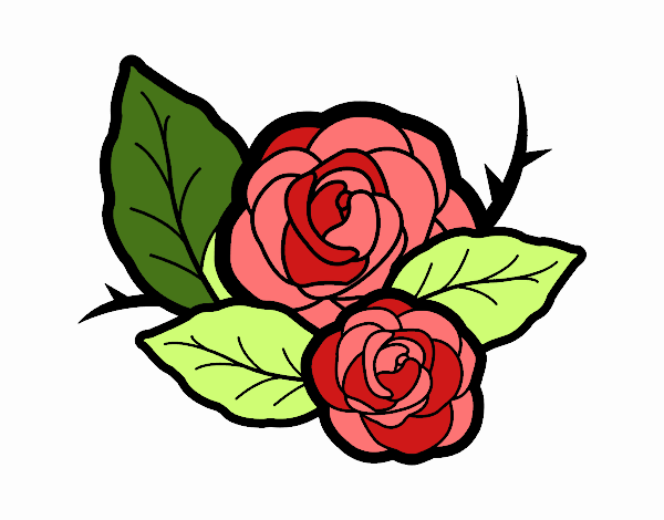 Dos rosas