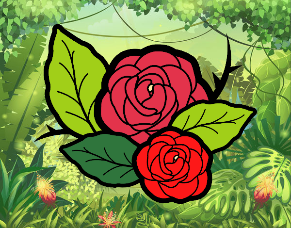 Dos rosas