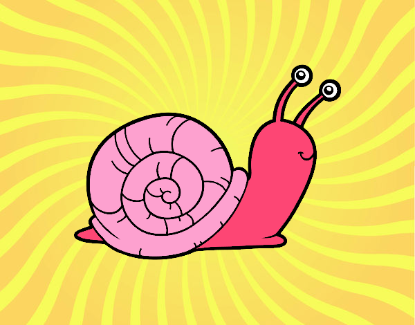 El caracol