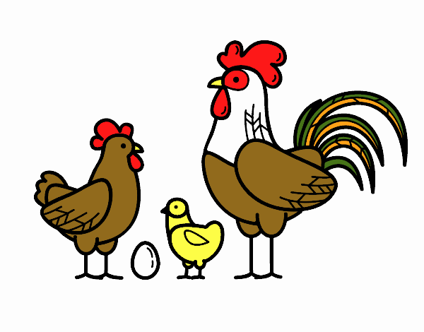 Familia gallina