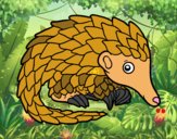 Pangolin