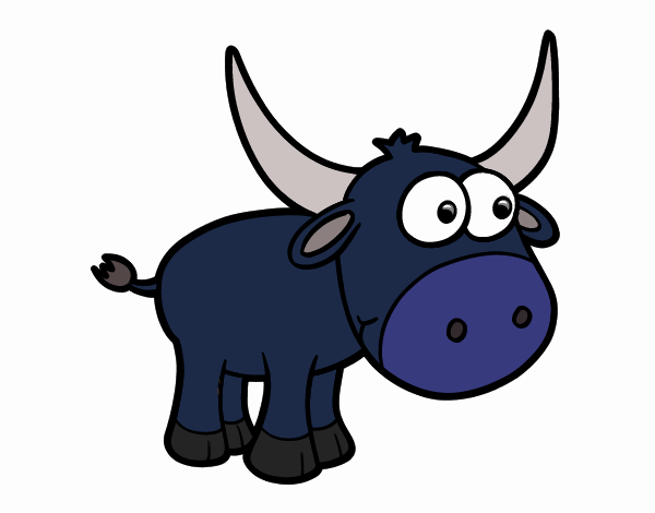 Torito