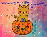 Un gatito de Halloween