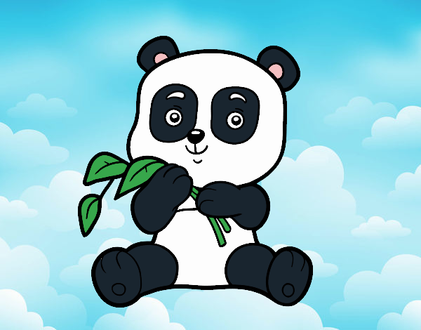 Un oso panda