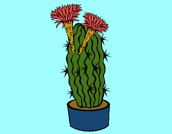 Cactus con flores