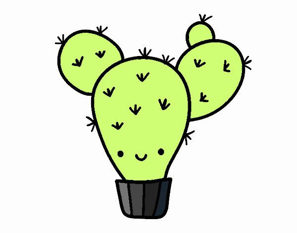 Cactus nopal