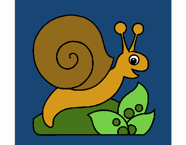 Caracol