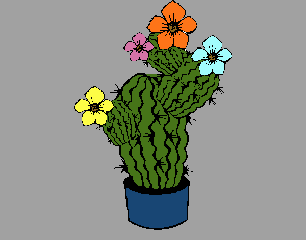 Flores de cactus