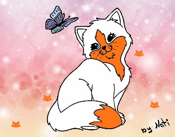 Gatito y mariposa