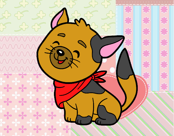 gatito de granja