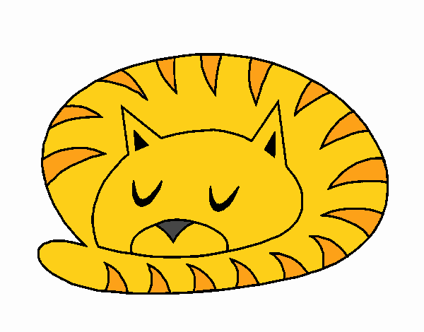 Gato durmiendo