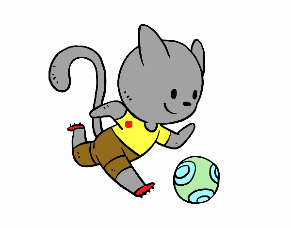 Gato jugando a fútbol