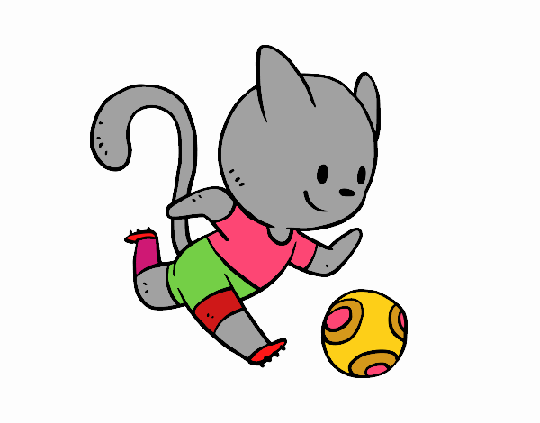 Gato jugando a fútbol