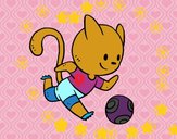 Gato jugando a fútbol