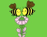 Pareja de abejas