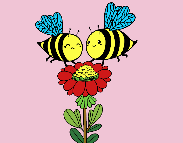 Pareja de abejas