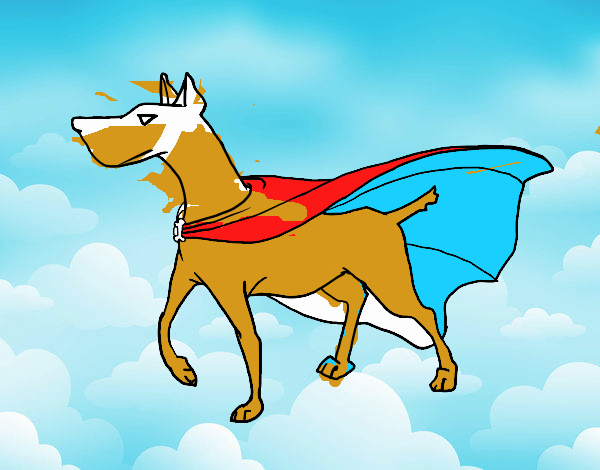 Perro superhéroe