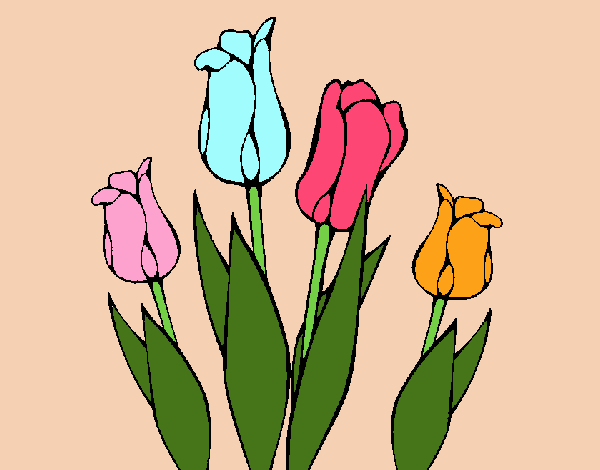 Tulipanes