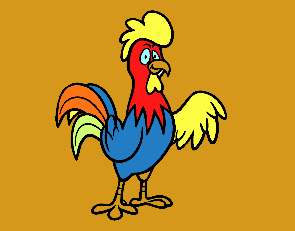 Un gallo de corral