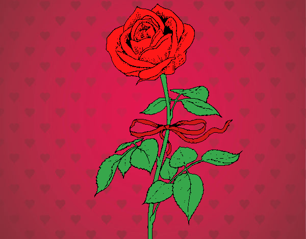 Una rosa