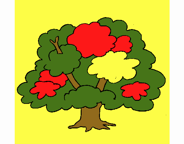 Árbol