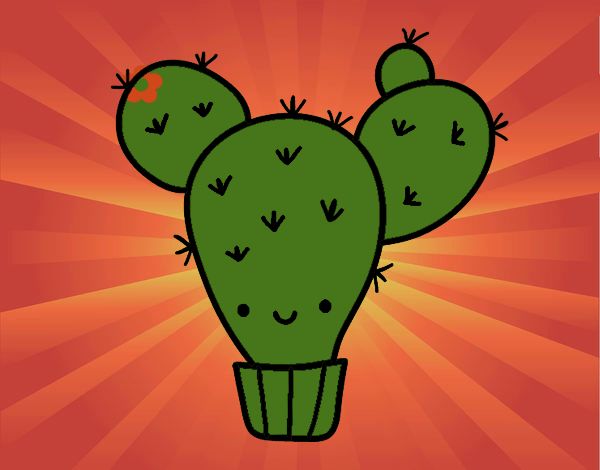 Cactus nopal