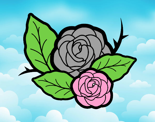 Dos rosas