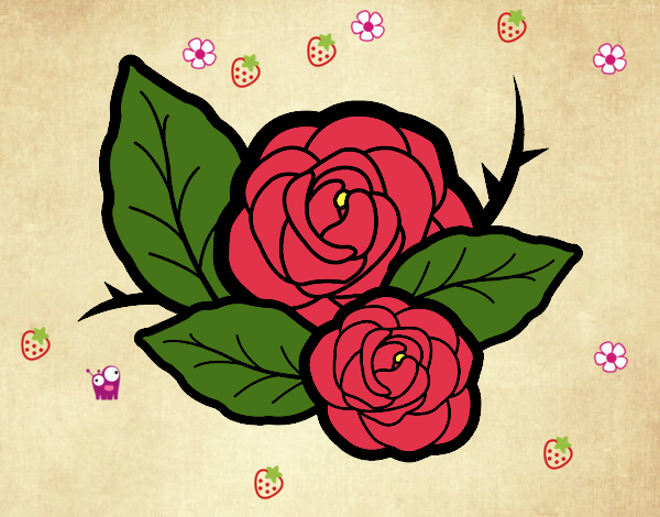 Dos rosas