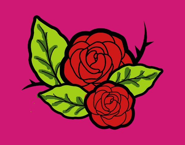 Dos rosas