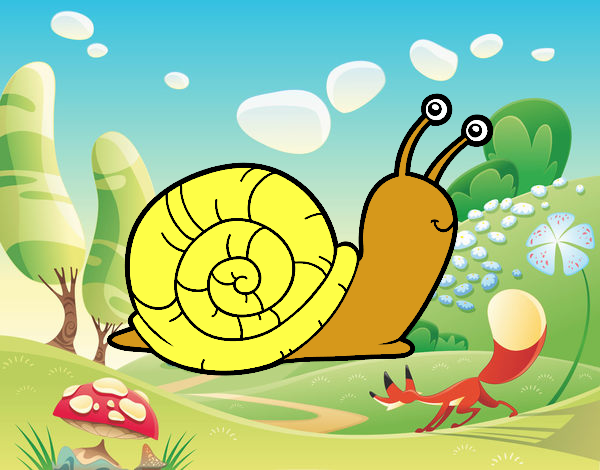 caracol