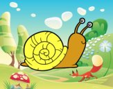 El caracol