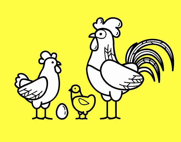 Familia gallina