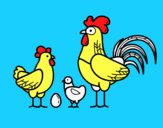 Familia gallina