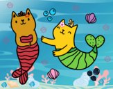 Gatos sirena