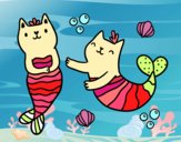 Gatos sirena